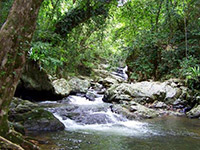 Cairns Beach Accommodation