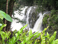 Cairns Beach Accommodation