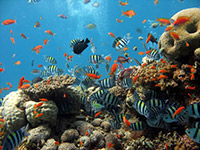 Cairns Beach Accommodation