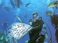 Cairns Beach Accommodation