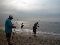 Fishing at Palm Cove Beach