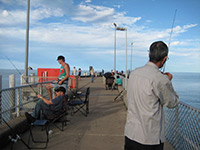 Cairns Beach Accommodation