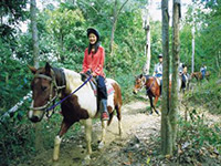 Cairns Beach Accommodation