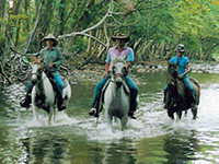 Cairns Beach Accommodation