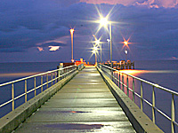 Palm Cove By Night