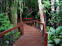 Oceans Edge - Boardwalk
