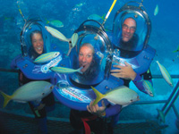 Oceanwalkers