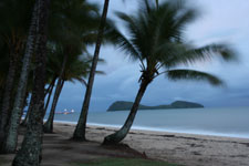 Palm Cove Beach