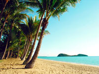 Palm Cove Beach - North View