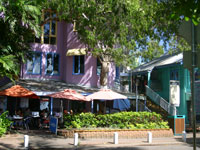 Palm Cove Cockys