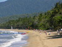 Palm Cove - Patrolled Beach