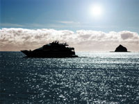 Quicksilver Tour Boat