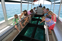 Glass Bottom Boat Tour on the Great Barrier Reef